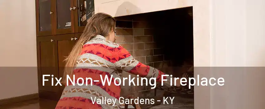 Fix Non-Working Fireplace Valley Gardens - KY