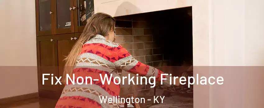 Fix Non-Working Fireplace Wellington - KY