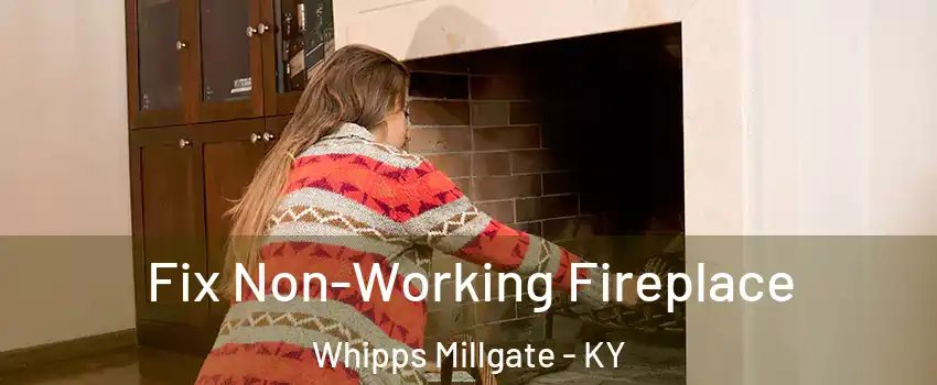 Fix Non-Working Fireplace Whipps Millgate - KY