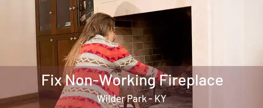 Fix Non-Working Fireplace Wilder Park - KY