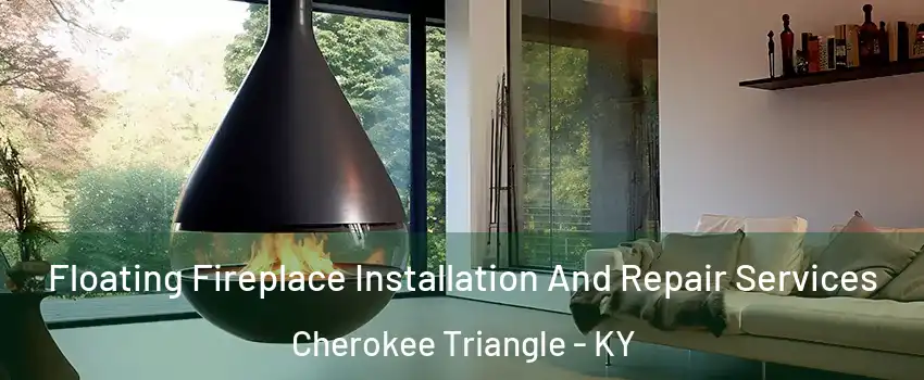 Floating Fireplace Installation And Repair Services Cherokee Triangle - KY