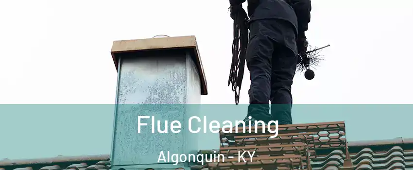 Flue Cleaning Algonquin - KY