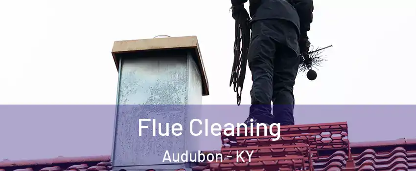 Flue Cleaning Audubon - KY