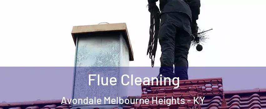 Flue Cleaning Avondale Melbourne Heights - KY