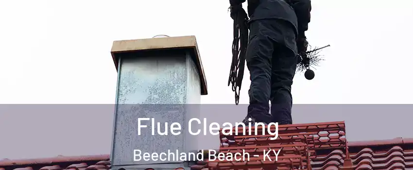 Flue Cleaning Beechland Beach - KY