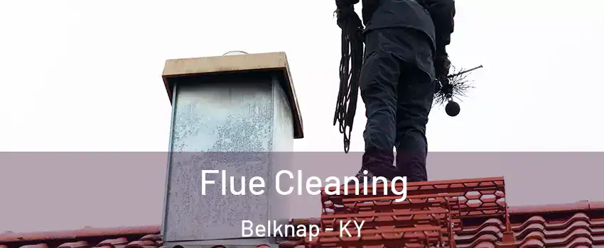 Flue Cleaning Belknap - KY