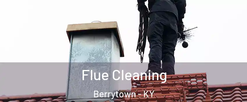 Flue Cleaning Berrytown - KY