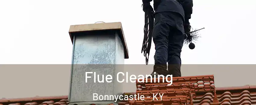 Flue Cleaning Bonnycastle - KY