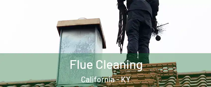 Flue Cleaning California - KY