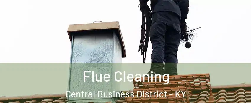 Flue Cleaning Central Business District - KY