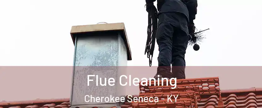 Flue Cleaning Cherokee Seneca - KY