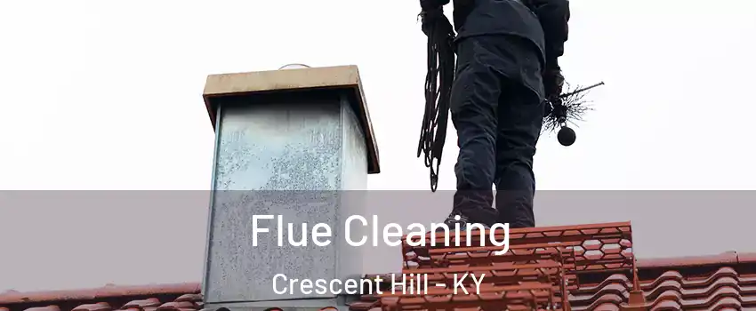 Flue Cleaning Crescent Hill - KY