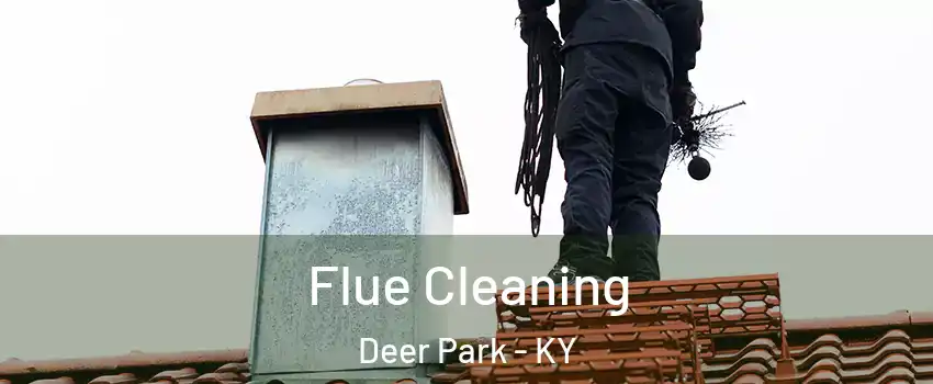 Flue Cleaning Deer Park - KY