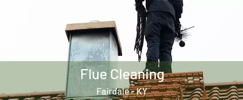 Flue Cleaning Fairdale - KY