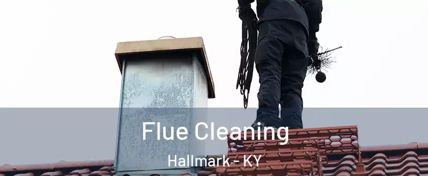 Flue Cleaning Hallmark - KY