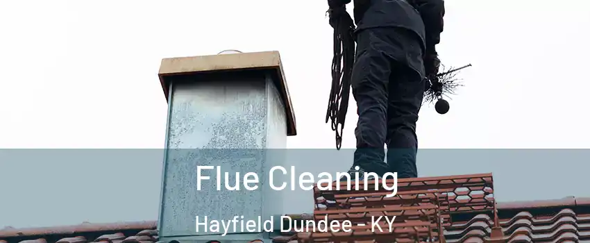 Flue Cleaning Hayfield Dundee - KY