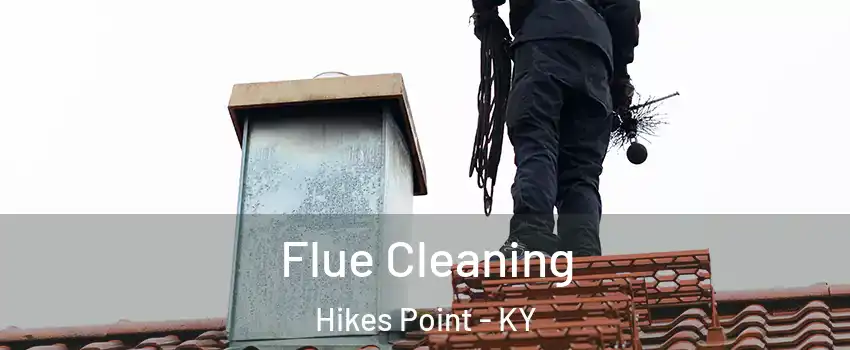 Flue Cleaning Hikes Point - KY