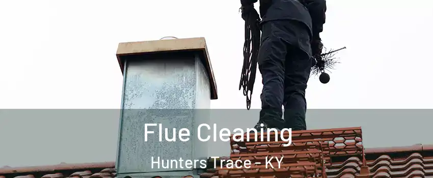 Flue Cleaning Hunters Trace - KY