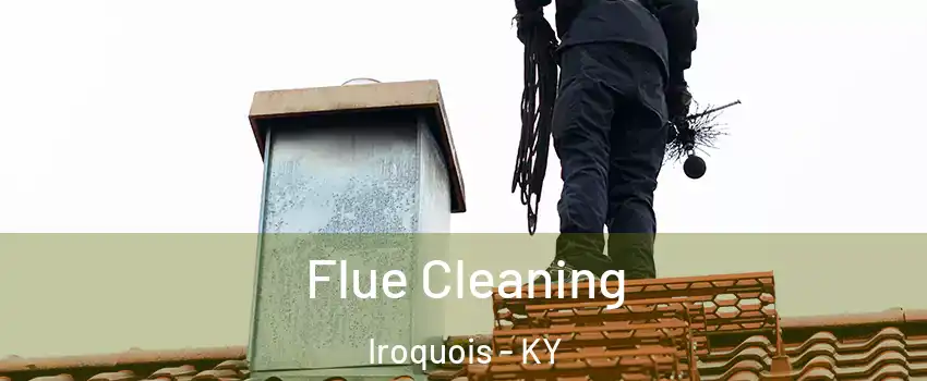 Flue Cleaning Iroquois - KY