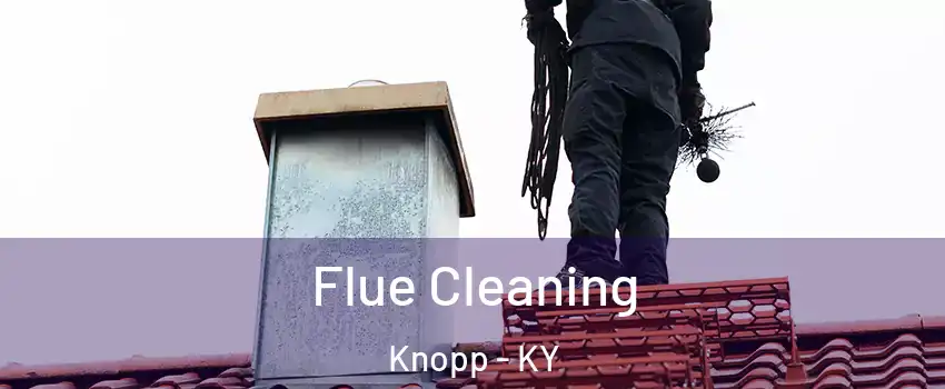 Flue Cleaning Knopp - KY