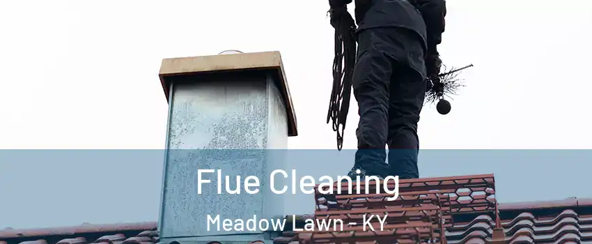 Flue Cleaning Meadow Lawn - KY