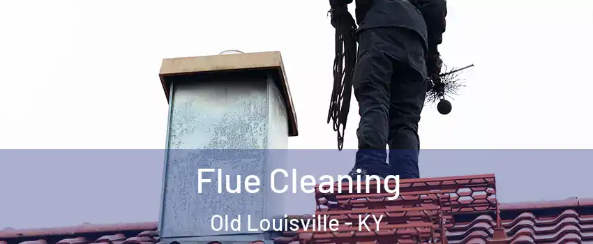 Flue Cleaning Old Louisville - KY