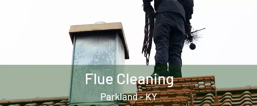 Flue Cleaning Parkland - KY