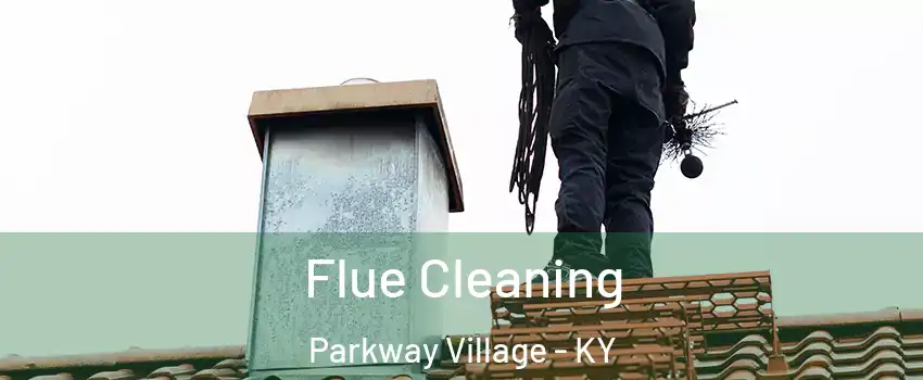 Flue Cleaning Parkway Village - KY