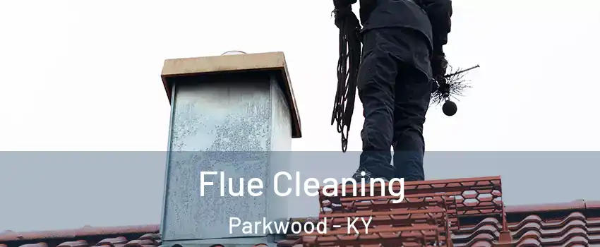 Flue Cleaning Parkwood - KY