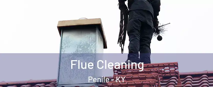 Flue Cleaning Penile - KY