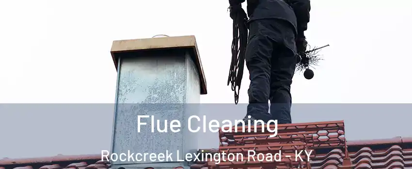 Flue Cleaning Rockcreek Lexington Road - KY