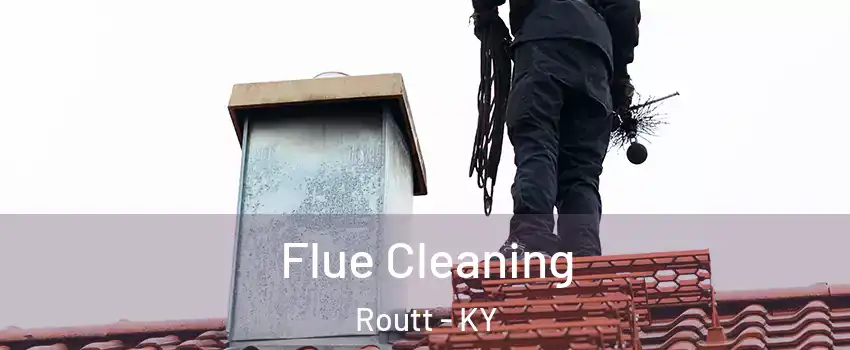 Flue Cleaning Routt - KY