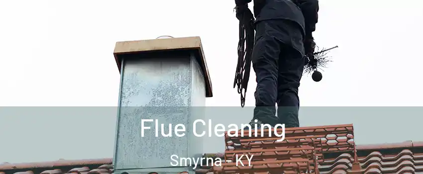 Flue Cleaning Smyrna - KY