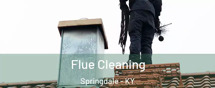 Flue Cleaning Springdale - KY