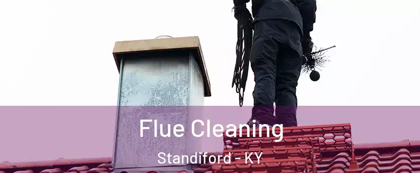 Flue Cleaning Standiford - KY