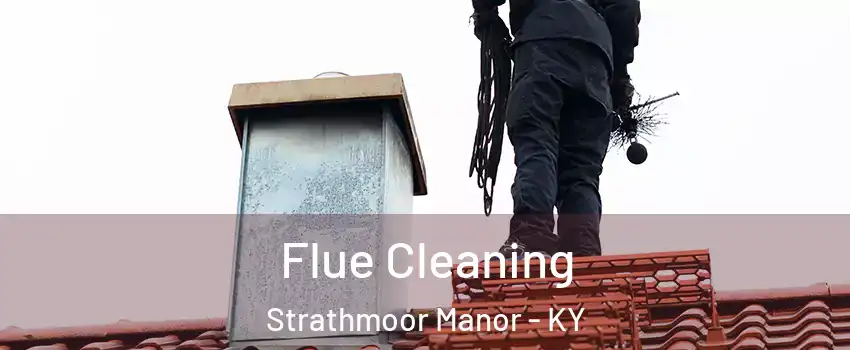 Flue Cleaning Strathmoor Manor - KY