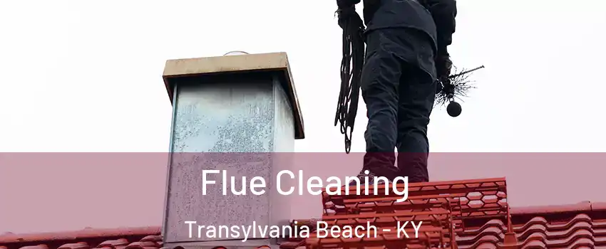 Flue Cleaning Transylvania Beach - KY