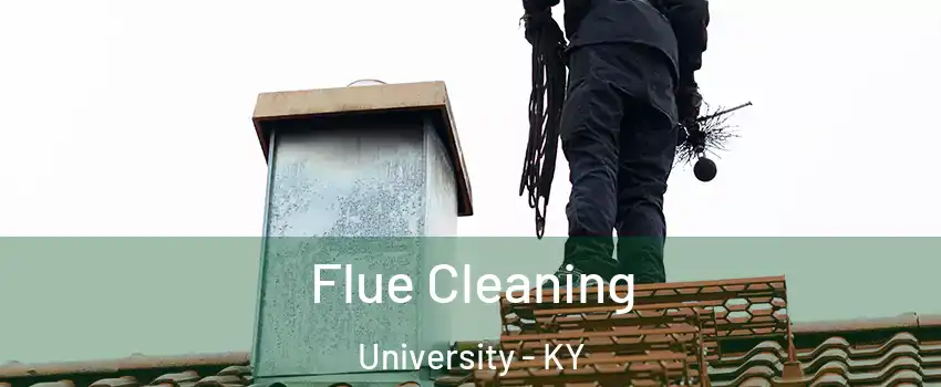 Flue Cleaning University - KY