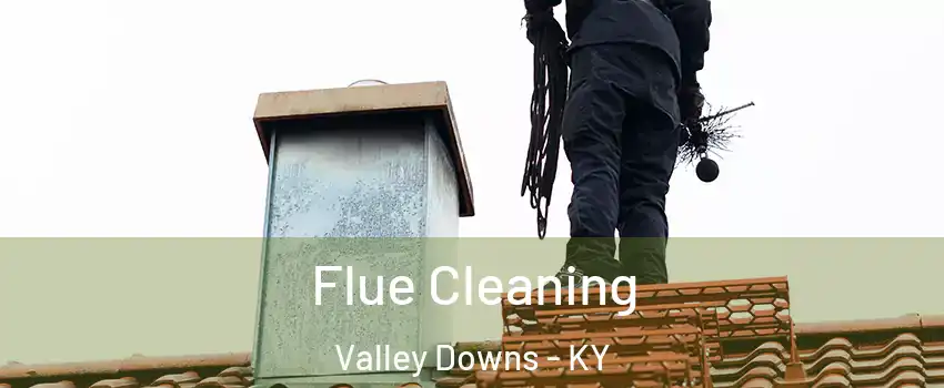 Flue Cleaning Valley Downs - KY