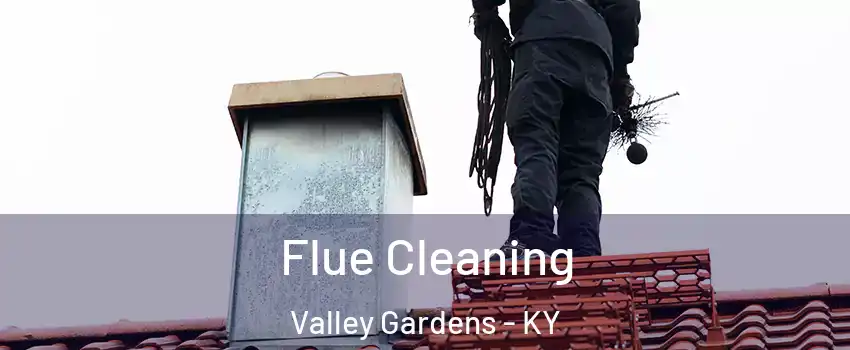 Flue Cleaning Valley Gardens - KY