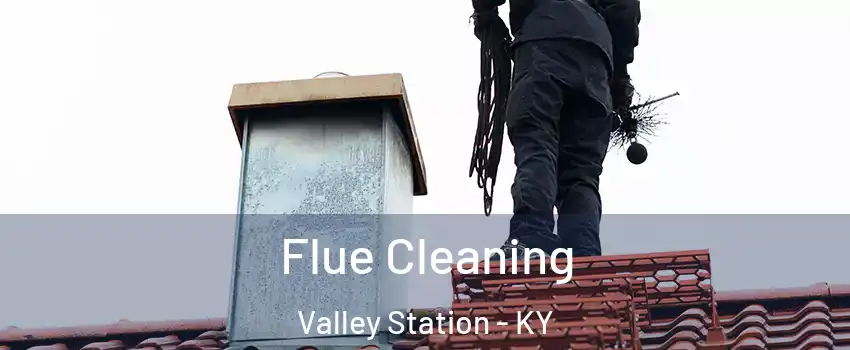 Flue Cleaning Valley Station - KY