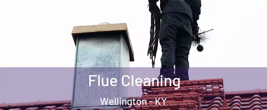 Flue Cleaning Wellington - KY