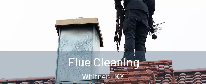 Flue Cleaning Whitner - KY