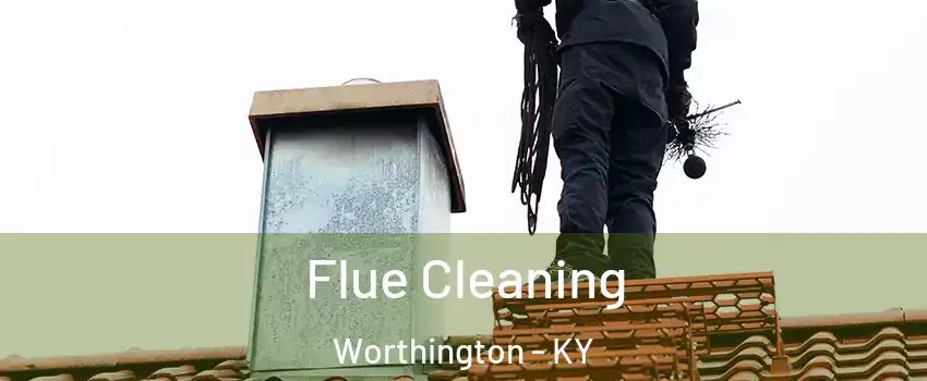 Flue Cleaning Worthington - KY