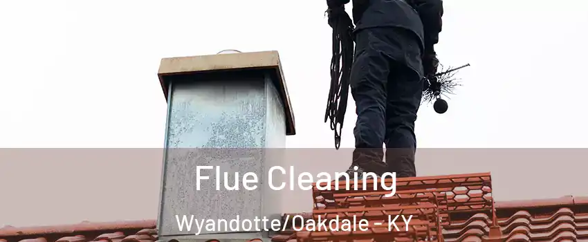 Flue Cleaning Wyandotte/Oakdale - KY