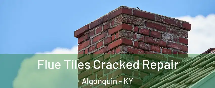 Flue Tiles Cracked Repair Algonquin - KY