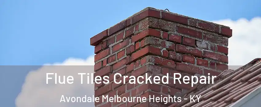 Flue Tiles Cracked Repair Avondale Melbourne Heights - KY