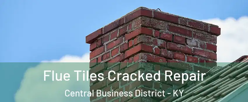 Flue Tiles Cracked Repair Central Business District - KY