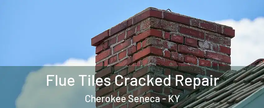 Flue Tiles Cracked Repair Cherokee Seneca - KY