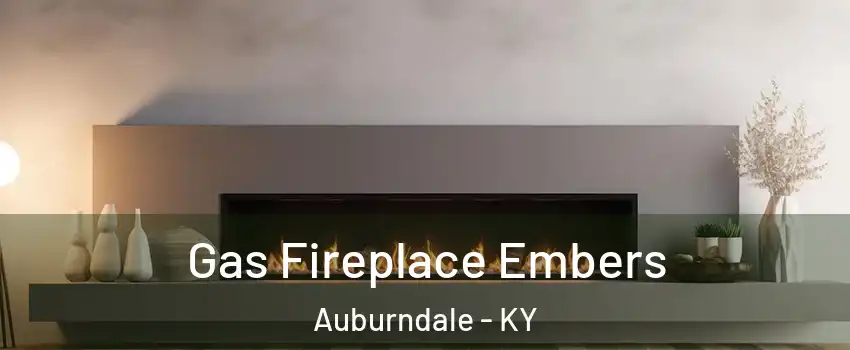 Gas Fireplace Embers Auburndale - KY